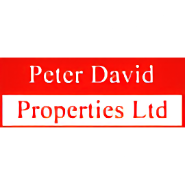 Peter David Properties