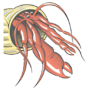 Norwich Accommodation Agency