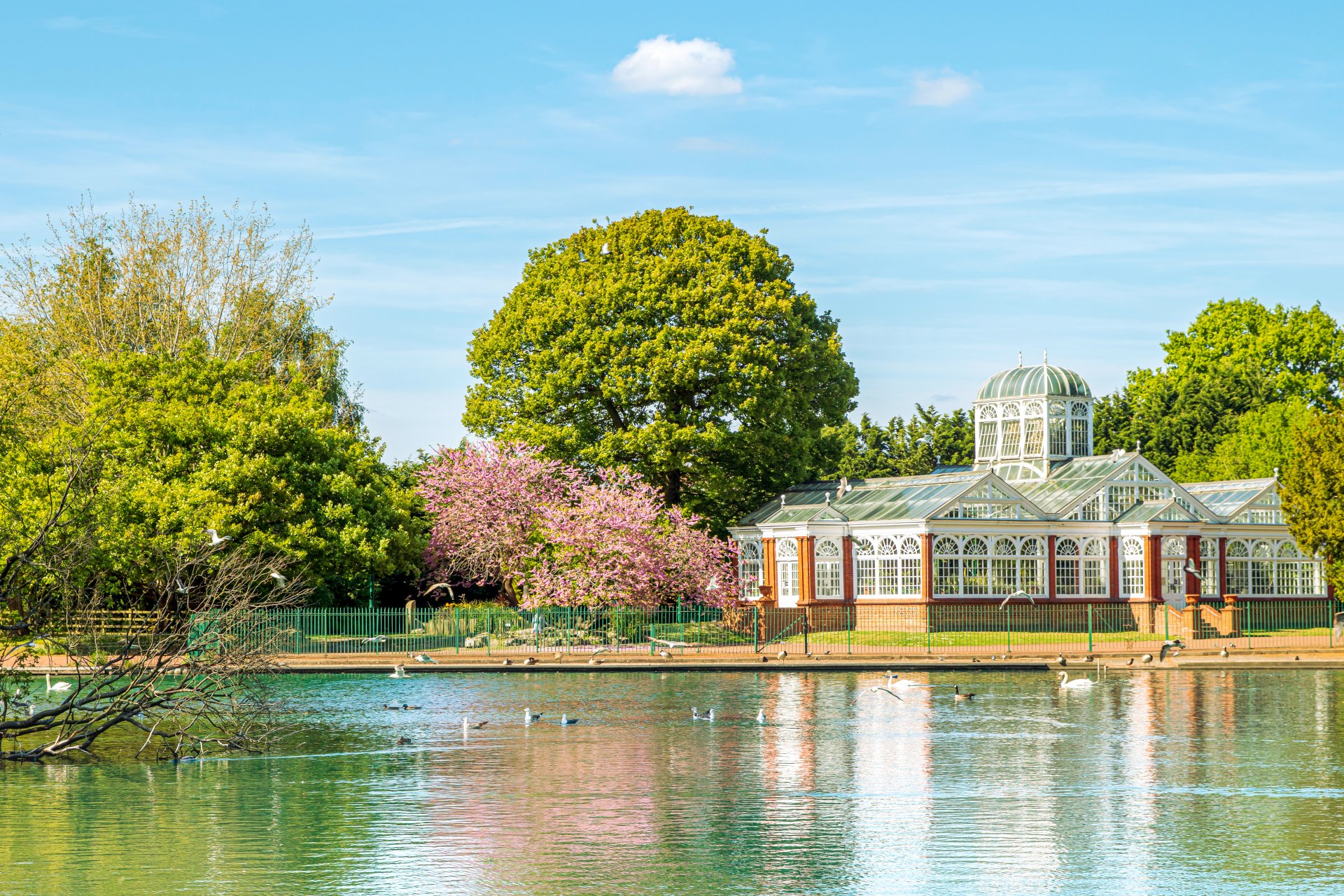 Search For Market Rents Wolverhampton